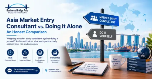 market entry consultant vs doing it alone